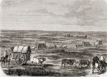 Wagenzug auf den argentinischen Pampas in den 1860er Jahren, graviert von Alfred Louis Sargent